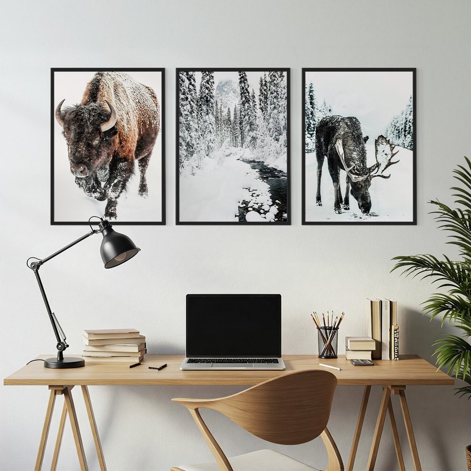 Zestaw obrazy w ramie, plakaty - bizon, łoś, zima - rama czarna