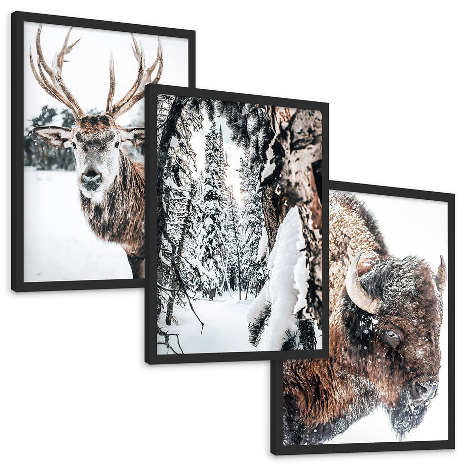 Zestaw obrazy w ramie, plakaty - zwierzęta, zima, śnieg - rama czarna