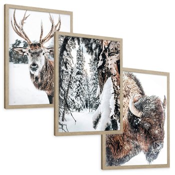 Zestaw obrazy w ramie, plakaty - zwierzęta, zima, śnieg - rama drewno