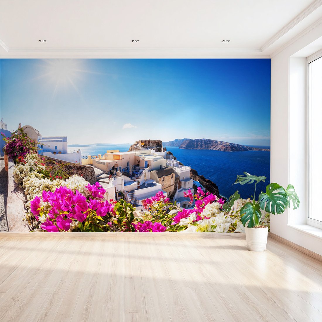 Fototapeta - Santorini, Grecja, kwiaty