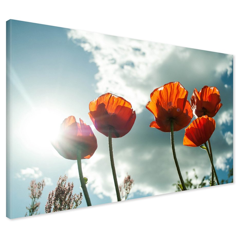 Obraz na płótnie - maki, kwiaty, niebo