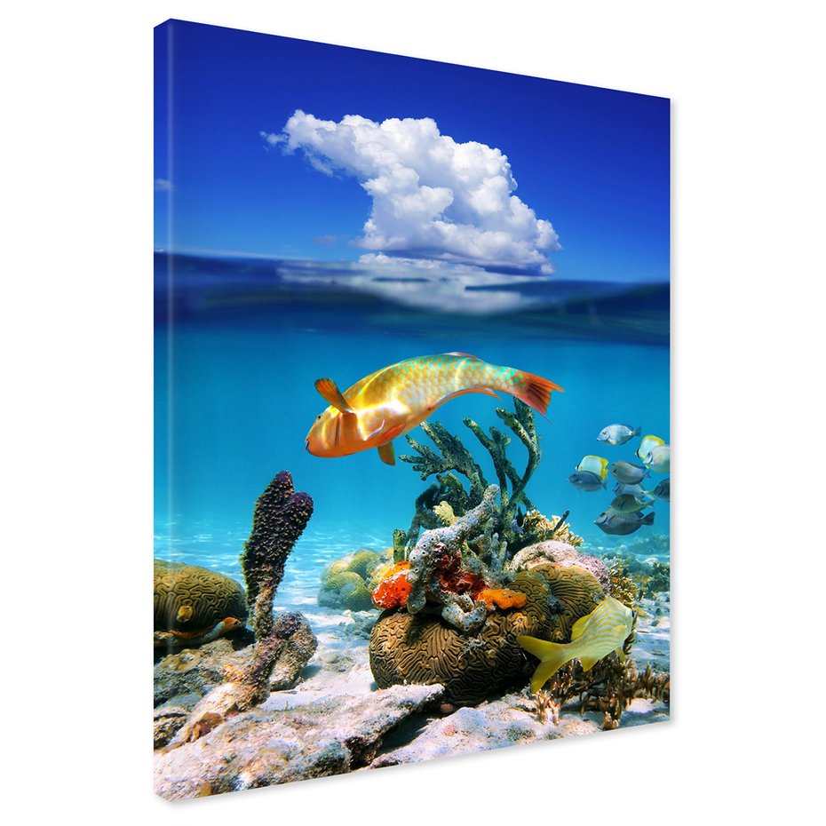 Obraz na płótnie - ryba, rafa, morze
