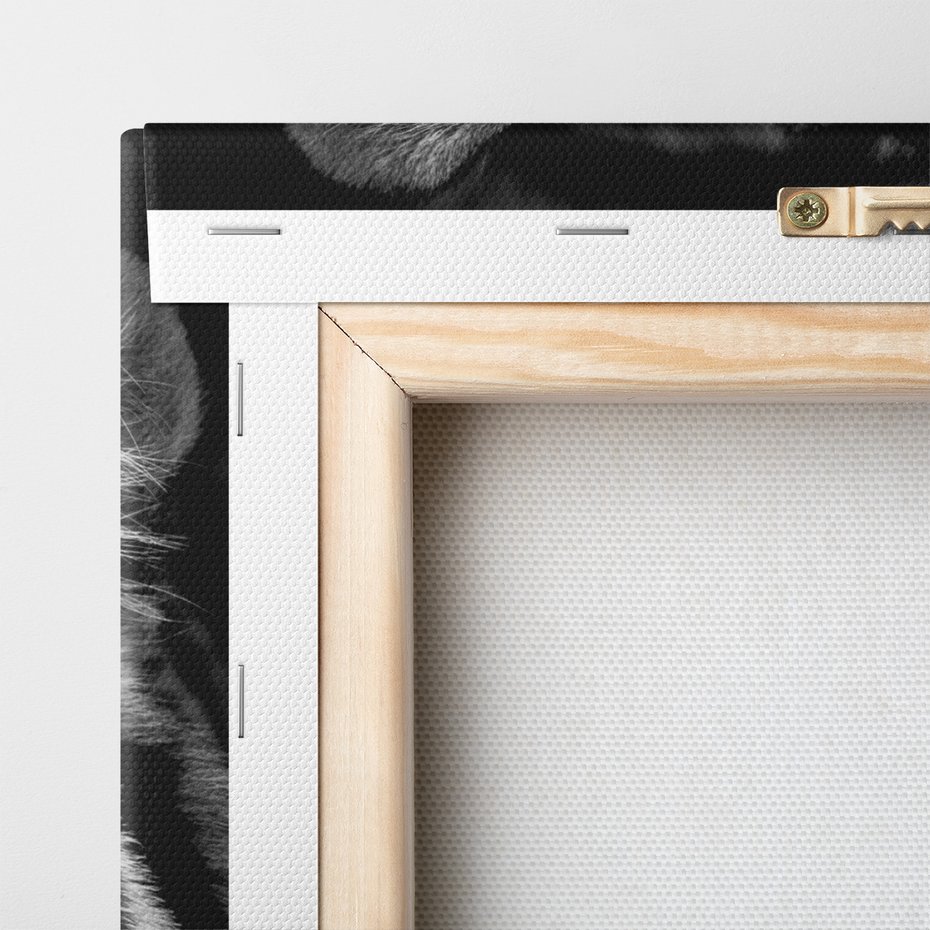 Obraz na płótnie - tygrys, zwierzę, drapieżnik