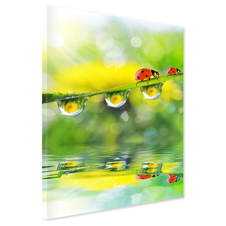 Obraz na płótnie - biedronka, trawa, woda
