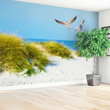 Fototapeta - plaża, mewy, morze