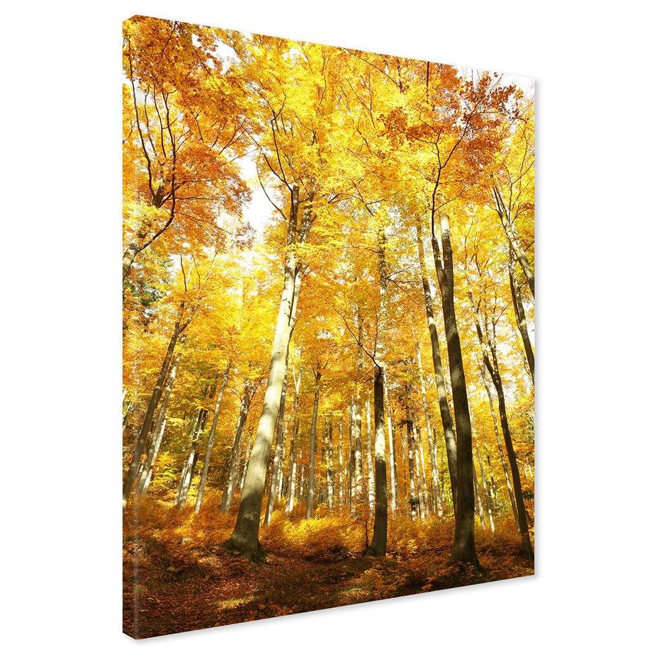 Obraz na płótnie - las, jesień, drzewa