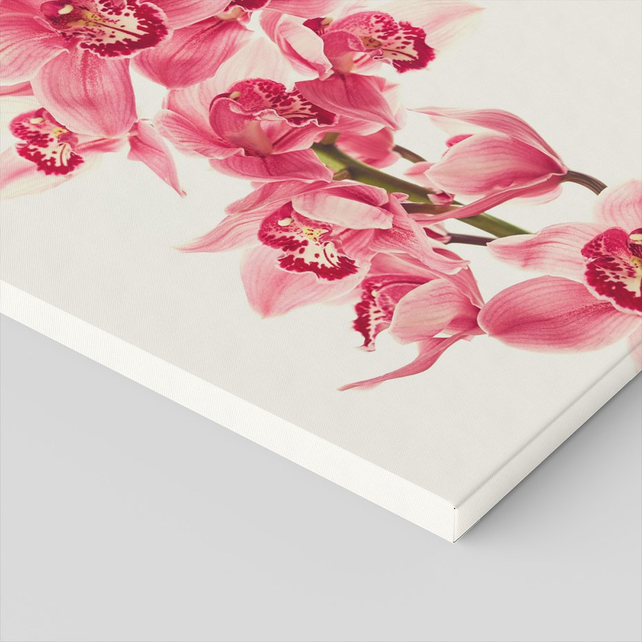 Obraz na płótnie - kwiaty, orchidee, różowe