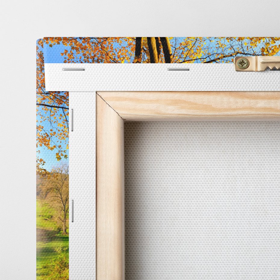 Obraz na płótnie - krajobraz, jesień, drzewa