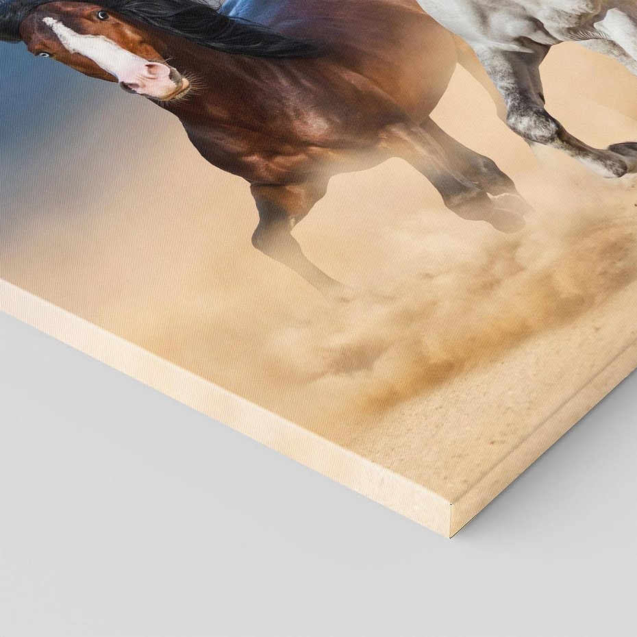 Obraz na płótnie - konie, galop, piasek