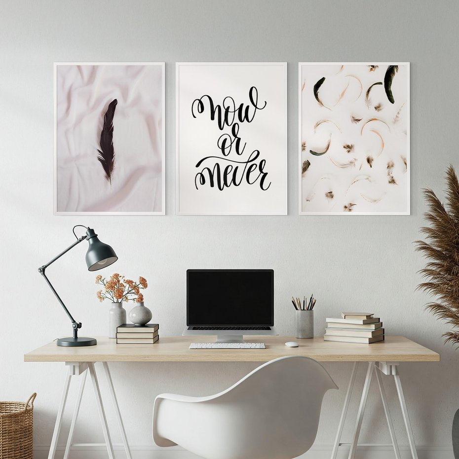 Zestaw obrazy w ramie, plakaty - pióro, minimalizm, tło - rama biała