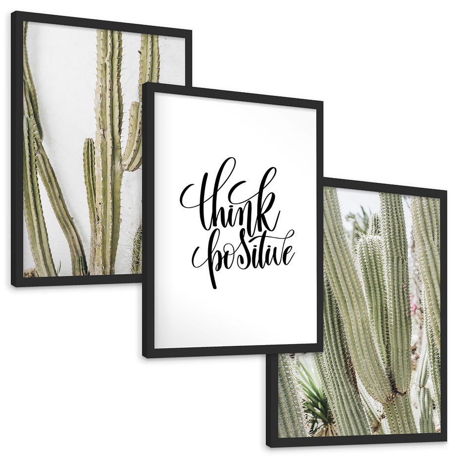 Zestaw obrazy w ramie, plakaty - kaktusy,rośliny,tekst - rama czarna