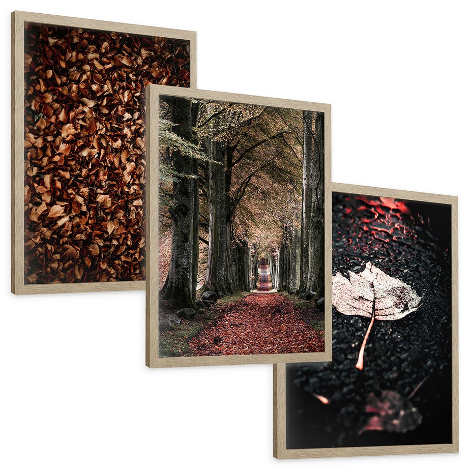 Zestaw obrazy w ramie, plakaty - liście, drzewa, jesień - rama drewno