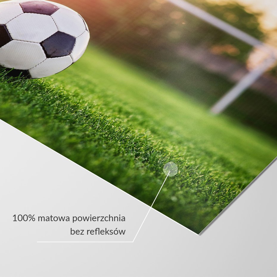 Fototapeta - piłka, trawa, sport