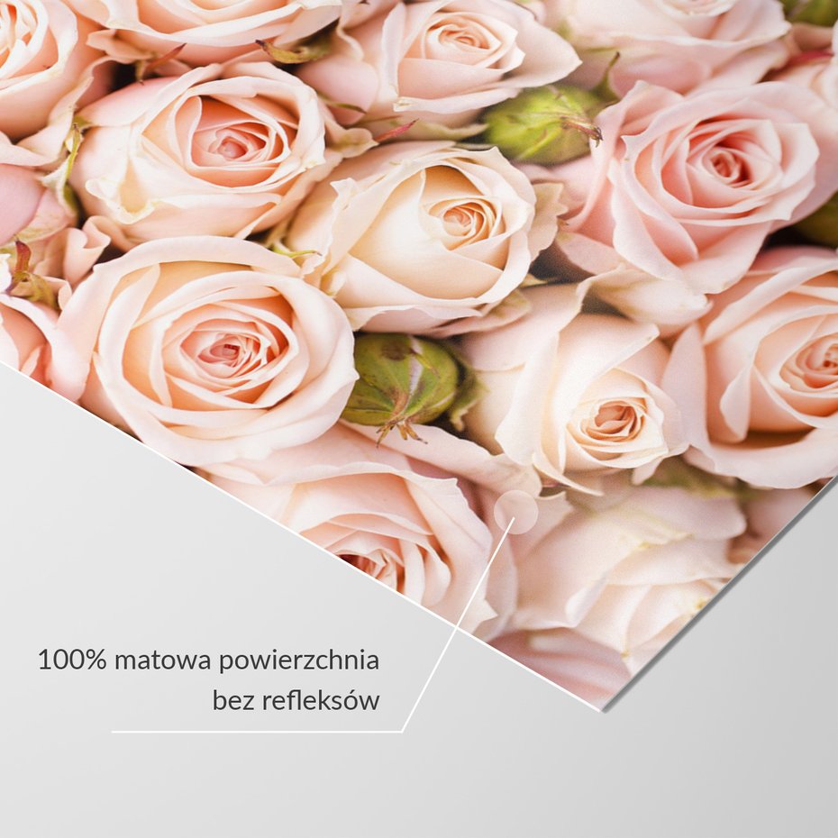 Fototapeta - róże, kwiaty, pastelowe