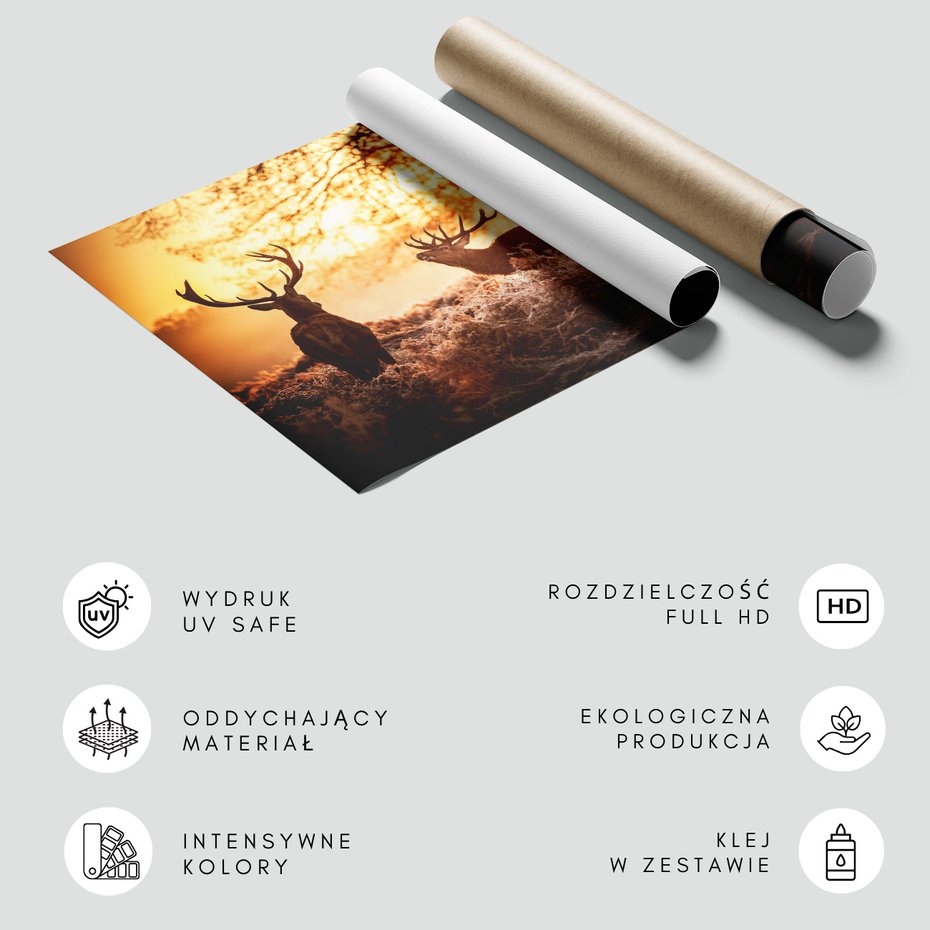 Fototapeta - jelenie, las, zachód słońca