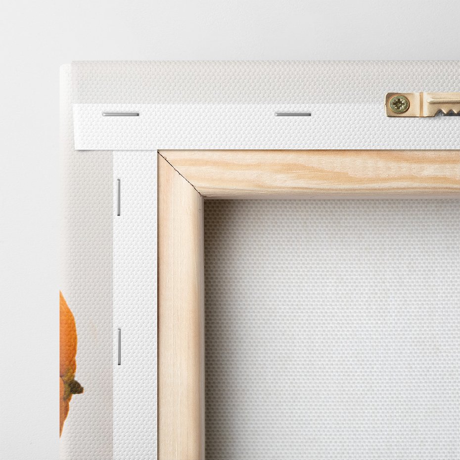 Obraz na płótnie - pomarańcza, plasterki, owoce