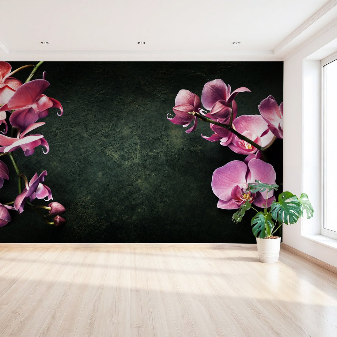 Fototapeta - kwiaty, orchidee, tło