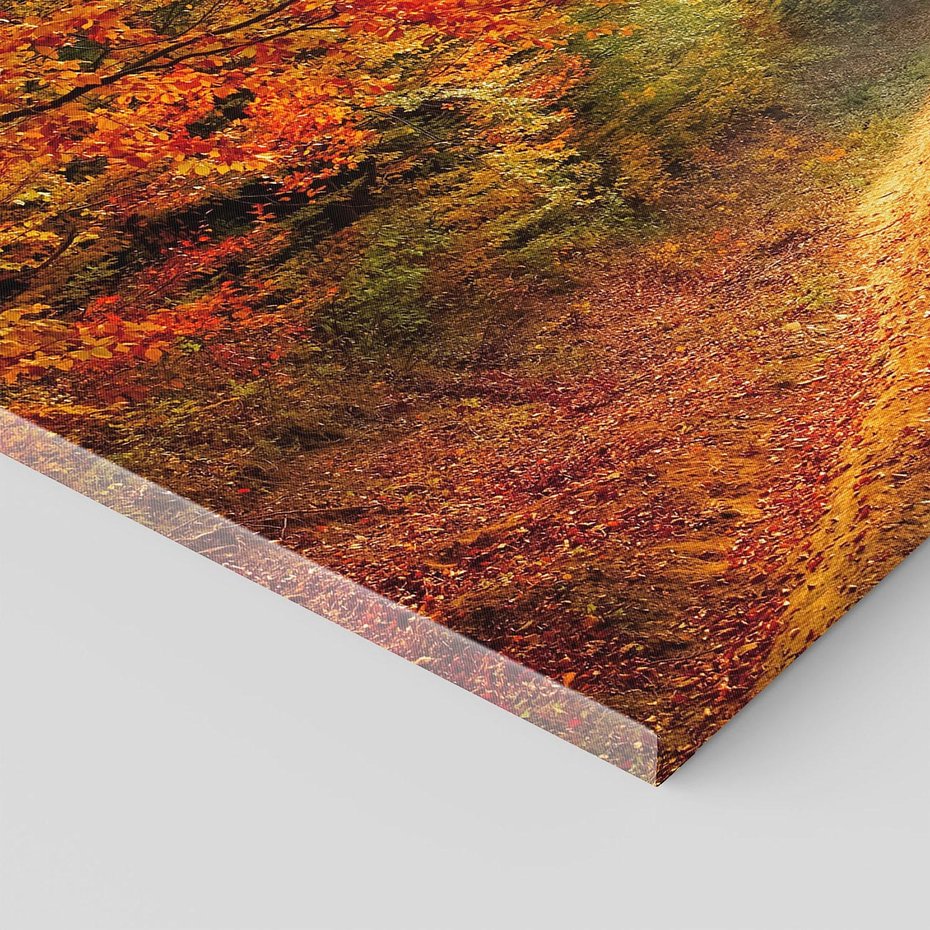 Obraz na płótnie - las, jesień, droga