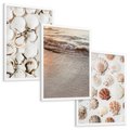 Zestaw obrazy w ramie, plakaty - muszle, plaża, woda - rama biała