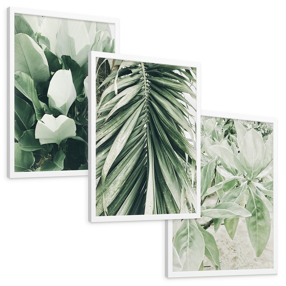 Zestaw obrazy w ramie, plakaty - liście, tropikalne, roślina - rama biała
