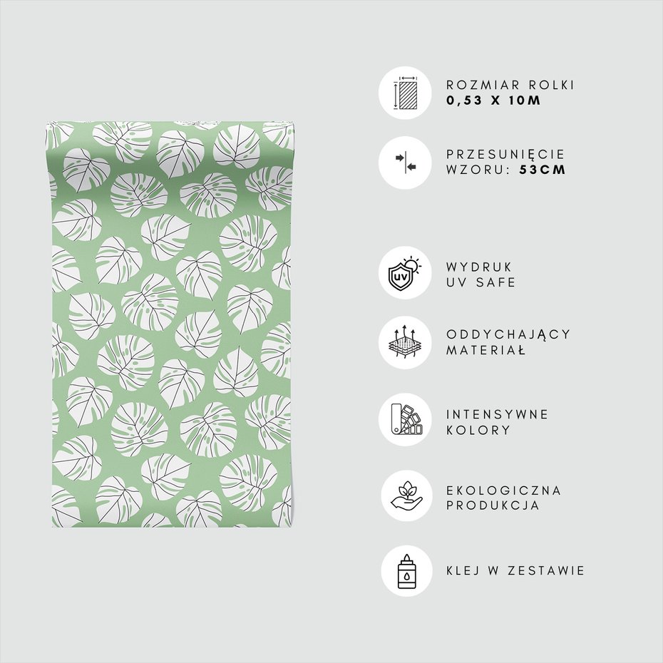 Tapeta - liście, monstera, natura