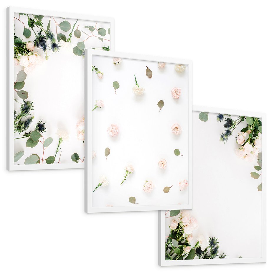 Zestaw obrazy w ramie, plakaty - kwiaty, liście, eukaliptus - rama biała