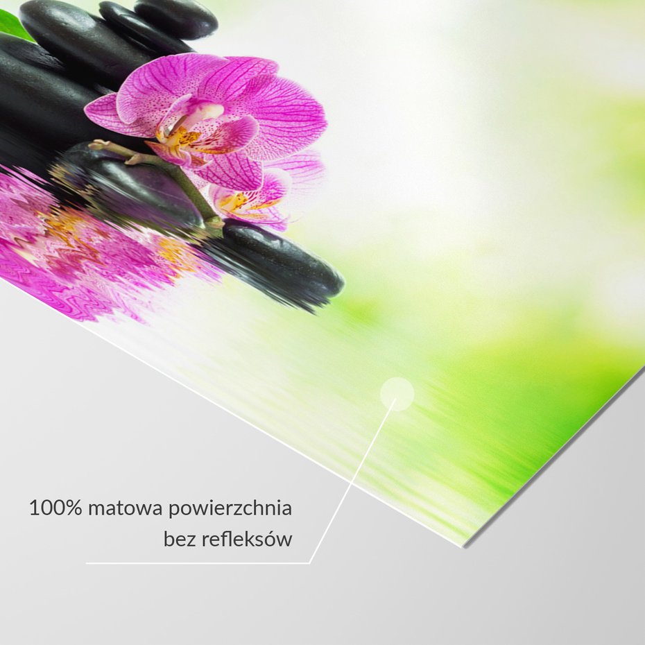 Fototapeta - orchidea, kamienie, bambus