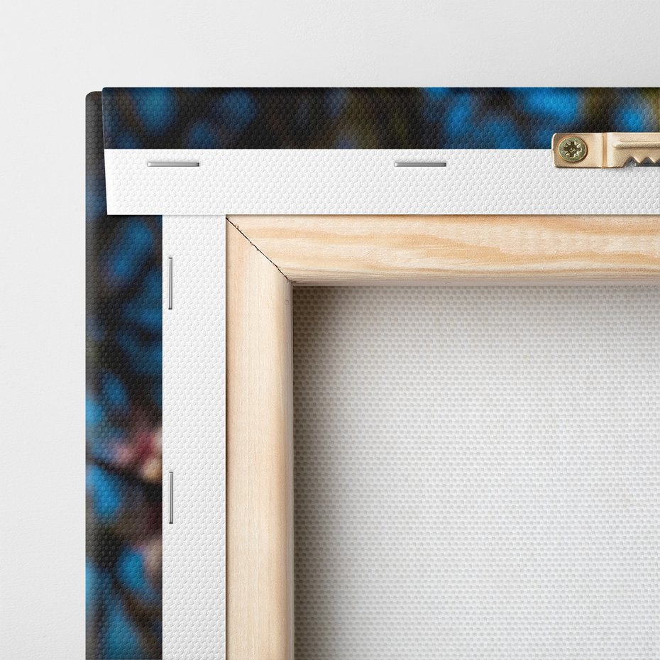 Obraz na płótnie - kwiaty, wiosna, natura