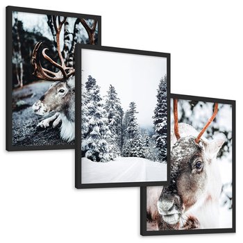 Zestaw obrazy w ramie, plakaty - renifer, zima, śnieg - rama czarna