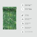 Tapeta - liście, monstera, natura