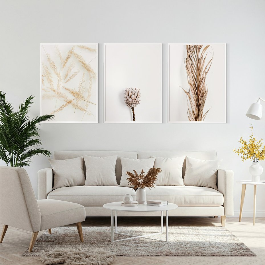 Zestaw obrazy w ramie, plakaty - roślina, suchy, kwiatostan - rama biała