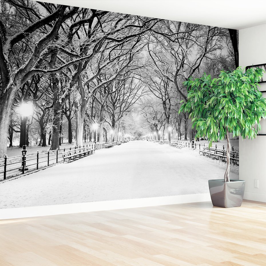 Fototapeta - zima, śnieg, park