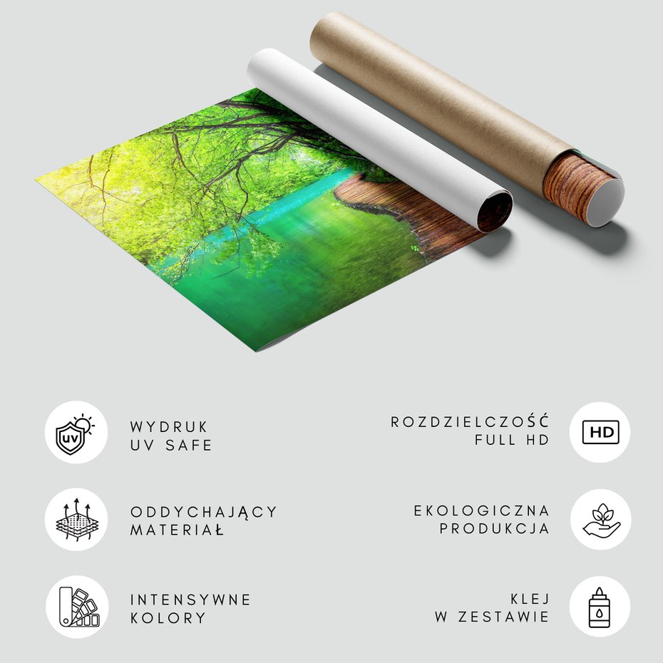 Fototapeta - las, woda, ścieżka