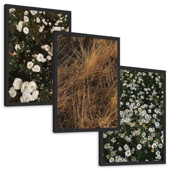 Zestaw obrazy w ramie, plakaty - kwiaty, rośliny, natura - rama czarna