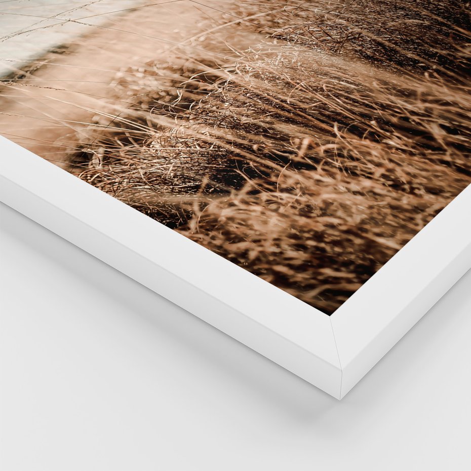 Zestaw obrazy w ramie, plakaty - przyroda, polne, krajobraz - rama biała