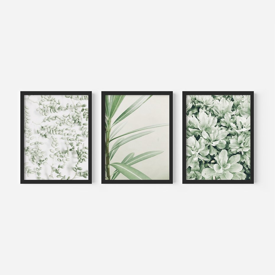 Zestaw obrazy w ramie, plakaty - liście, roślina, gałązka - rama czarna
