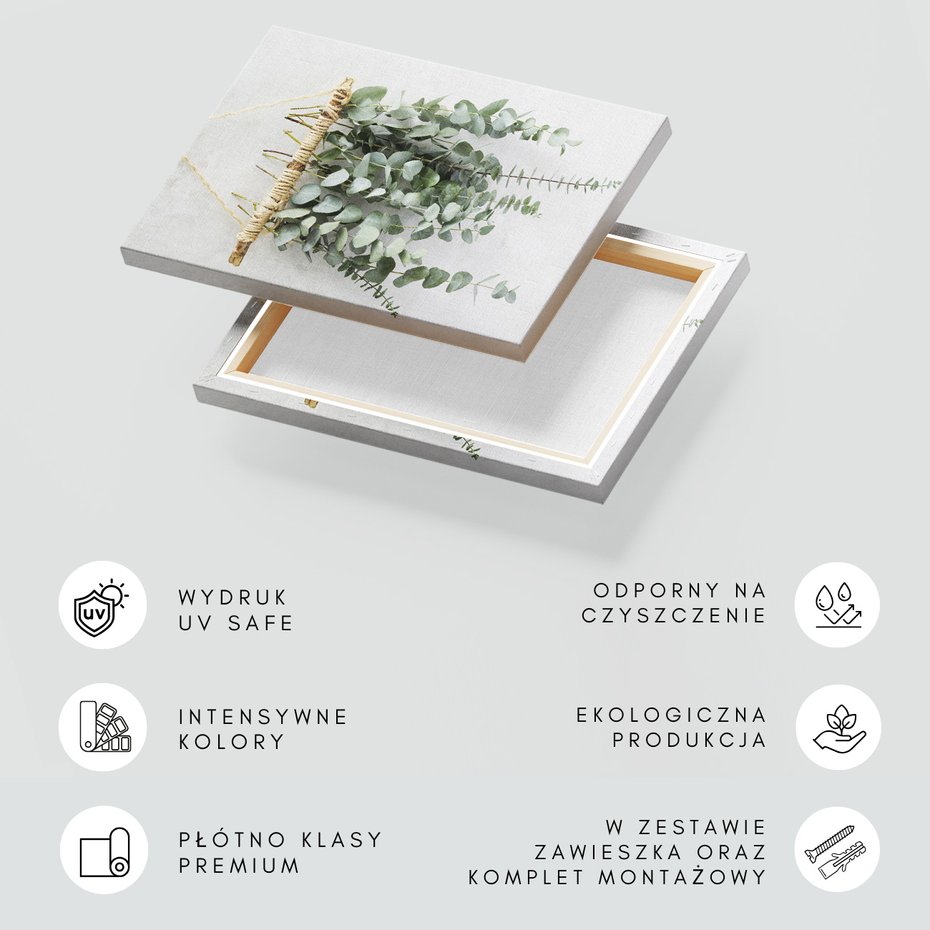 Obraz na płótnie - eukaliptus, dekoracja, liście