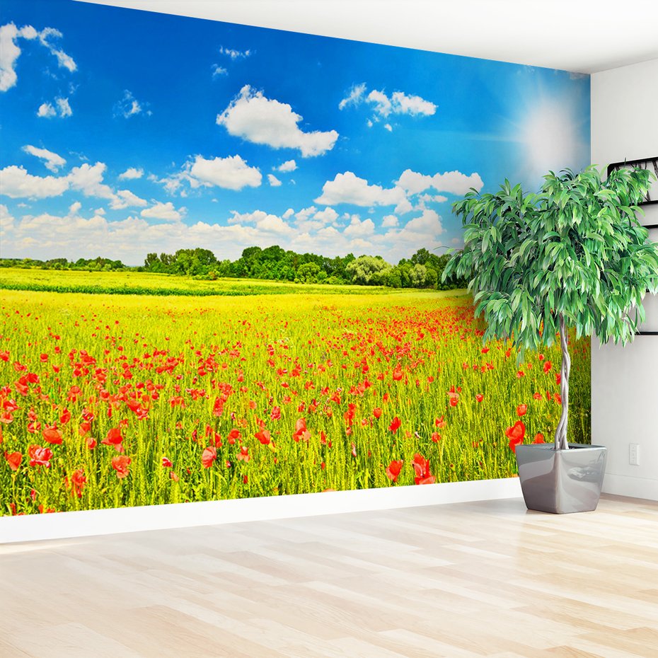 Fototapeta - łąka, kwiaty, niebo