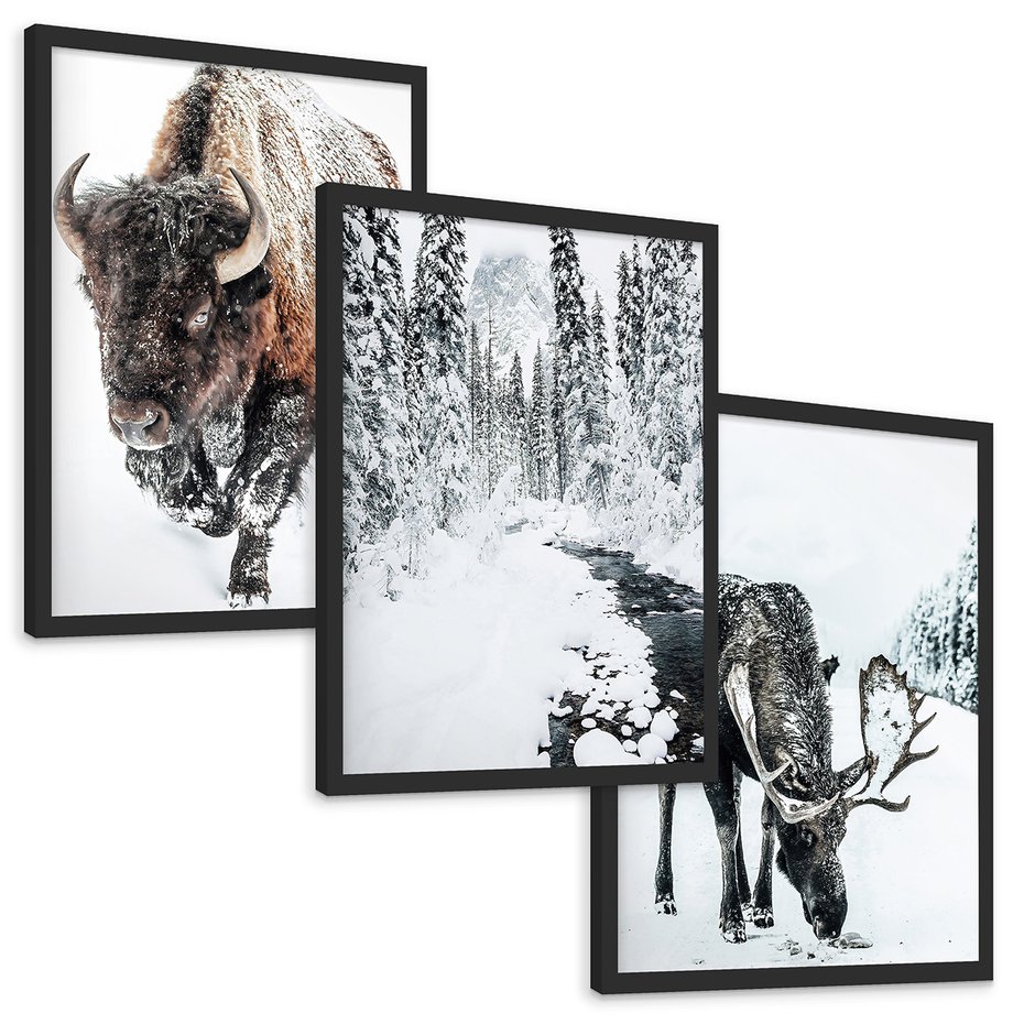 Zestaw obrazy w ramie, plakaty - bizon, łoś, zima - rama czarna