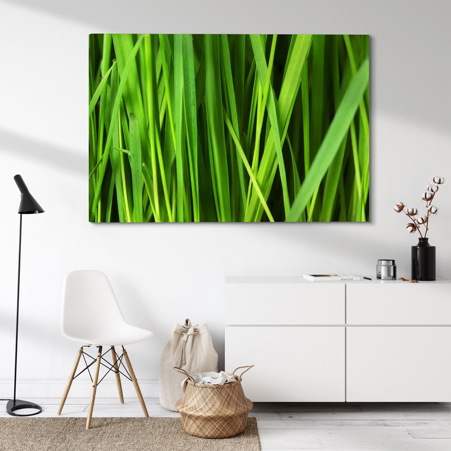 Obraz na płótnie - trawa, zielony, liście