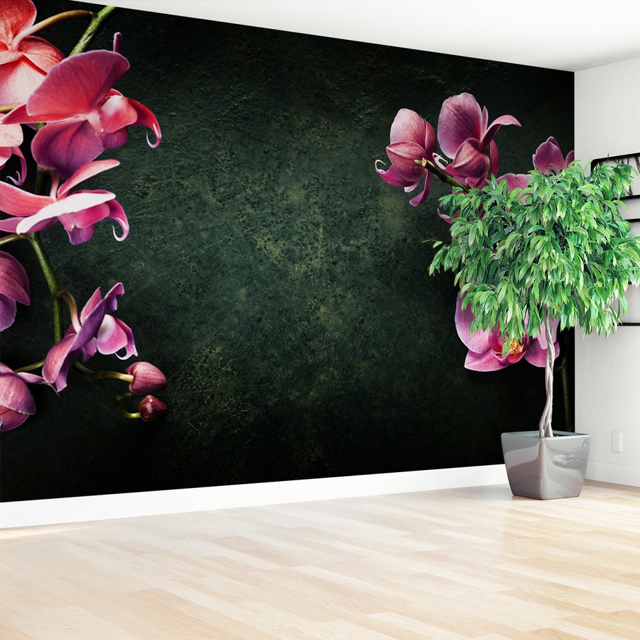 Fototapeta - kwiaty, orchidee, tło