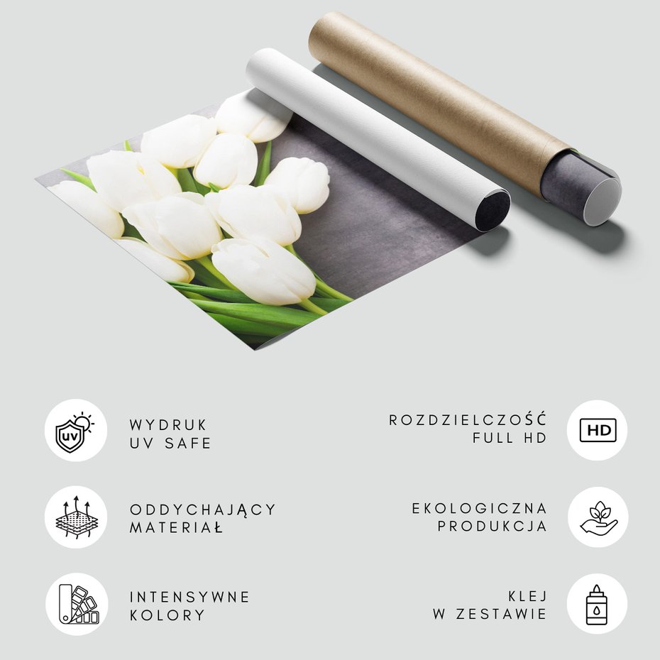 Fototapeta - tulipany, kwiaty, biel,