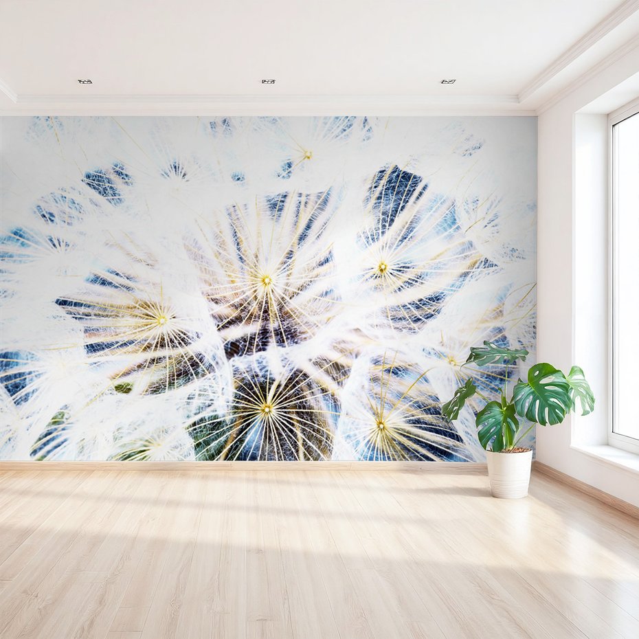 Fototapeta - dmuchawiec, natura, abstrakcja