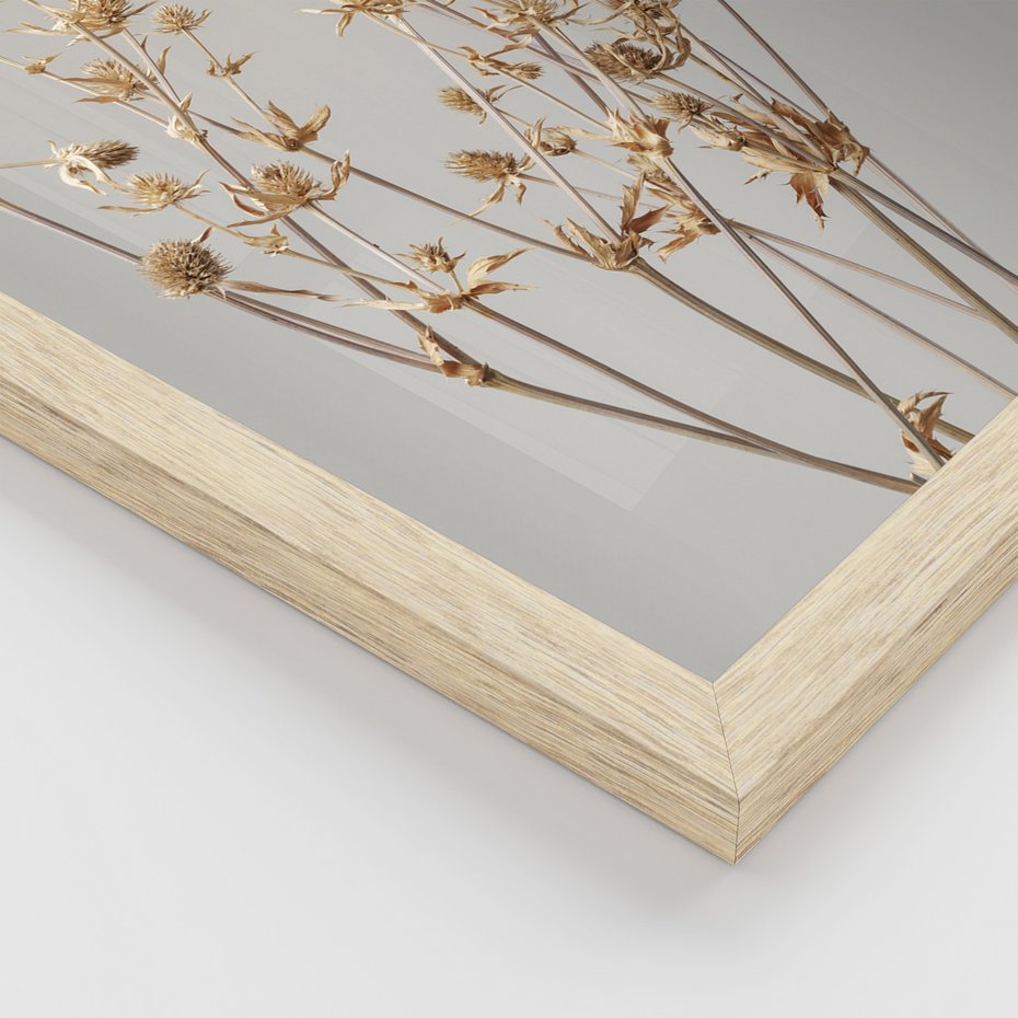 Zestaw obrazy w ramie, plakaty - kwiaty,rośliny,suszone, - rama drewno