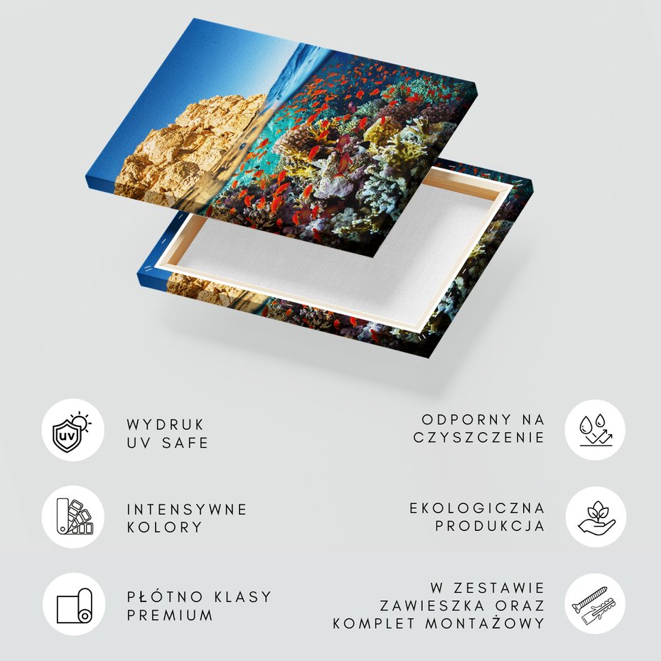 Obraz na płótnie - podwodny, rafa koralowa, ryby