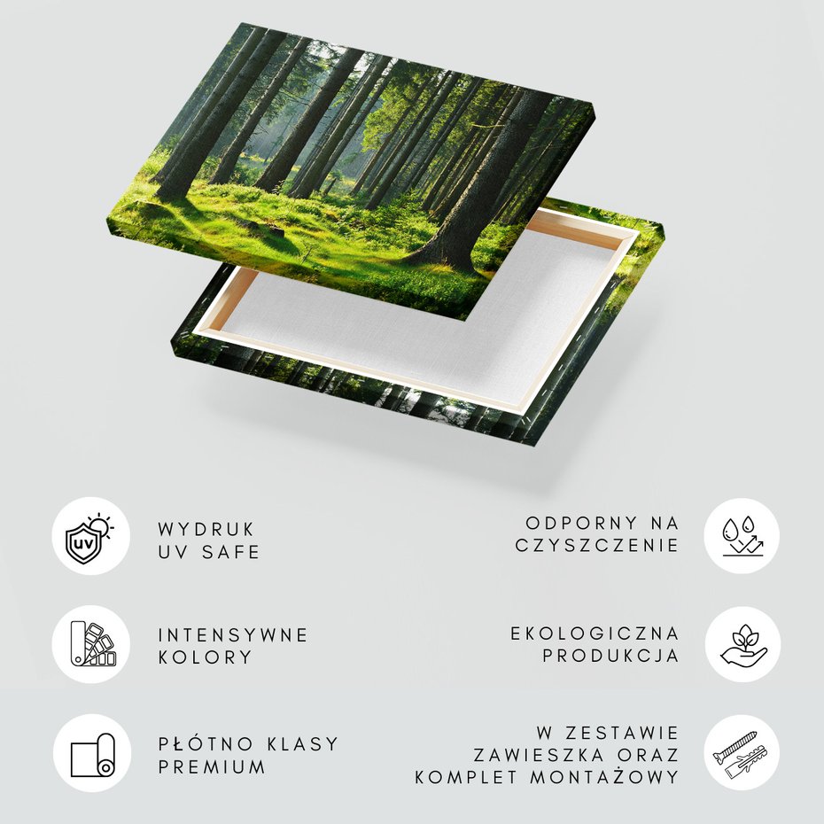 Obraz na płótnie - las, drzewa, natura