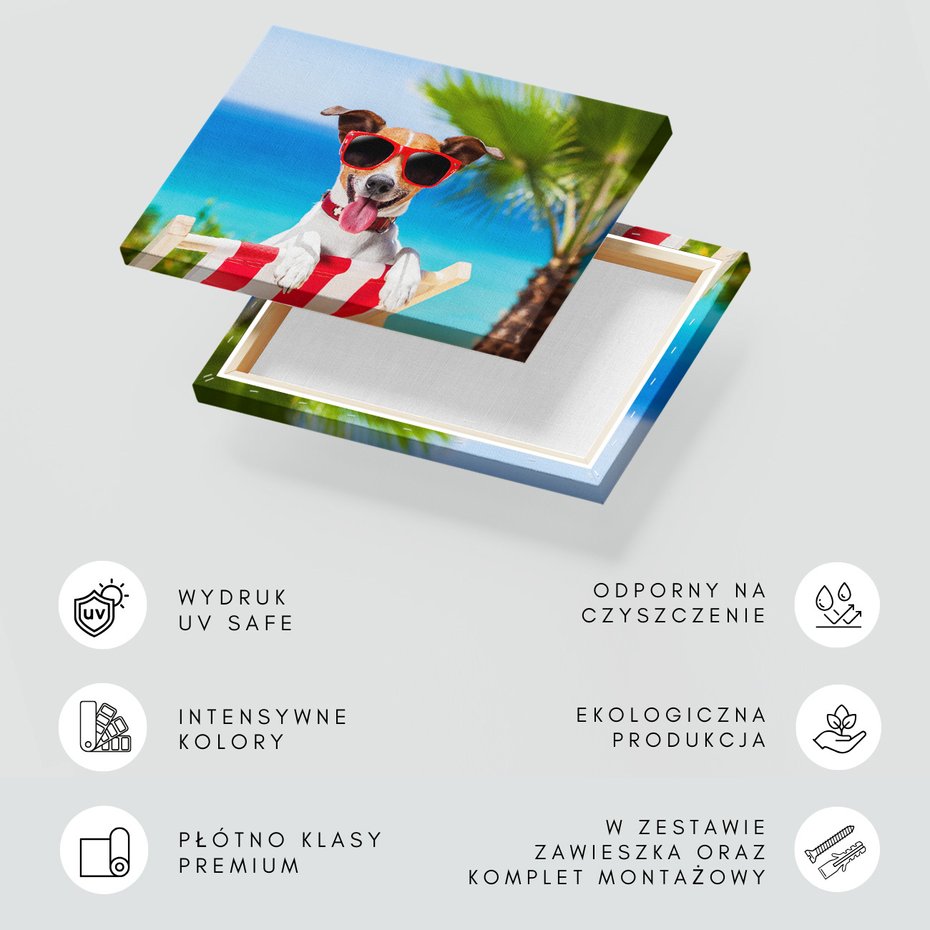 Obraz na płótnie - pies, okulary, plaża