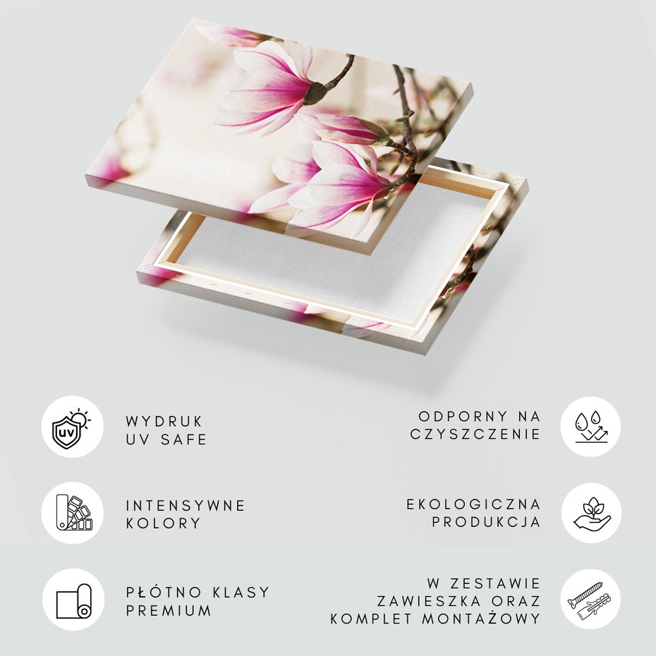 Obraz na płótnie - magnolia, kwiaty, wiosna