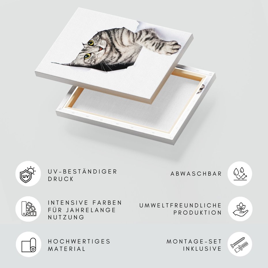 Obraz na płótnie - kot, zwierzę, portret