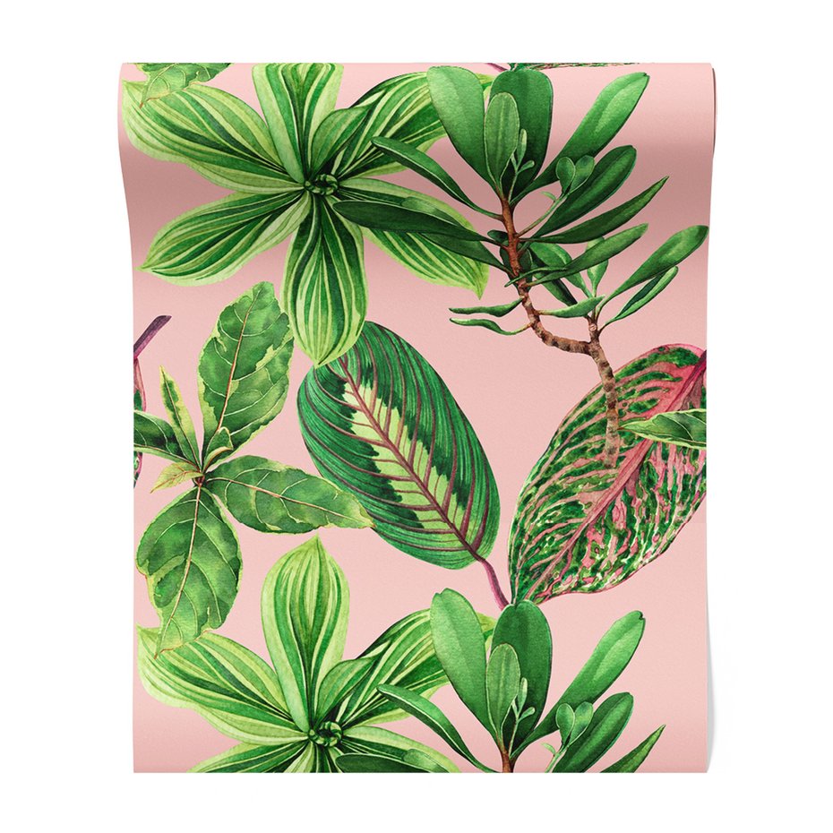 Tapeta - liście, rośliny, natura